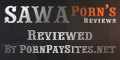 Pornpaysite Reviews